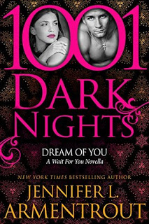 Mini-Review: Dream of You by J. Lynn