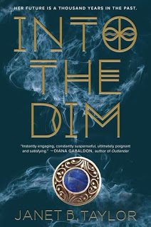 Into the Dim by Janet B. Taylor